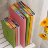 韩国文具18K胡小炫皮本 大胡子仿皮笔记本 84张（LB18K41-0510）大号