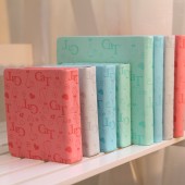 韩国文具48K黑米猫皮本 日记本 记事本 128张（LB48K42-0522）